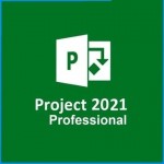 Project 2021 Professional License | Pro