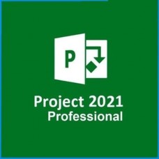 Project 2021 Professional License | Pro