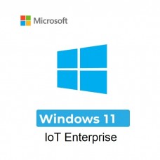 Windows 11 IoT Enterprise 2024 Edition License 