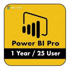 Microsoft Power BI Pro 1 Year 25 User License