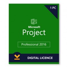 Project 2016 Professional License 