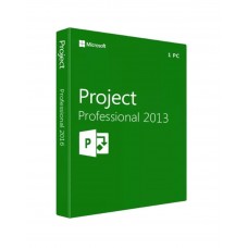 Project 2013 Professional License | Pro