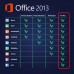 Microsoft Office 2013 Professional Plus