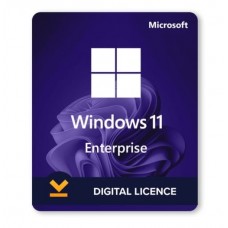 Windows 11 Enterprise License