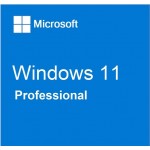 Windows 11 Professional License