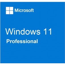 Windows 11 Professional License